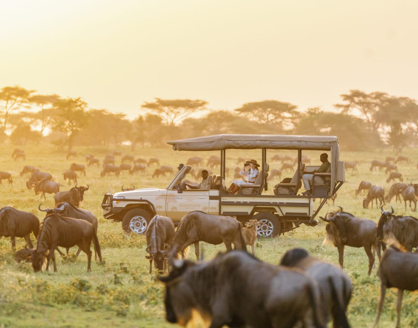 Leisure Day in Maasai Mara