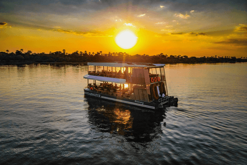 Safari Experience in Botswana - Chobe Day Trip